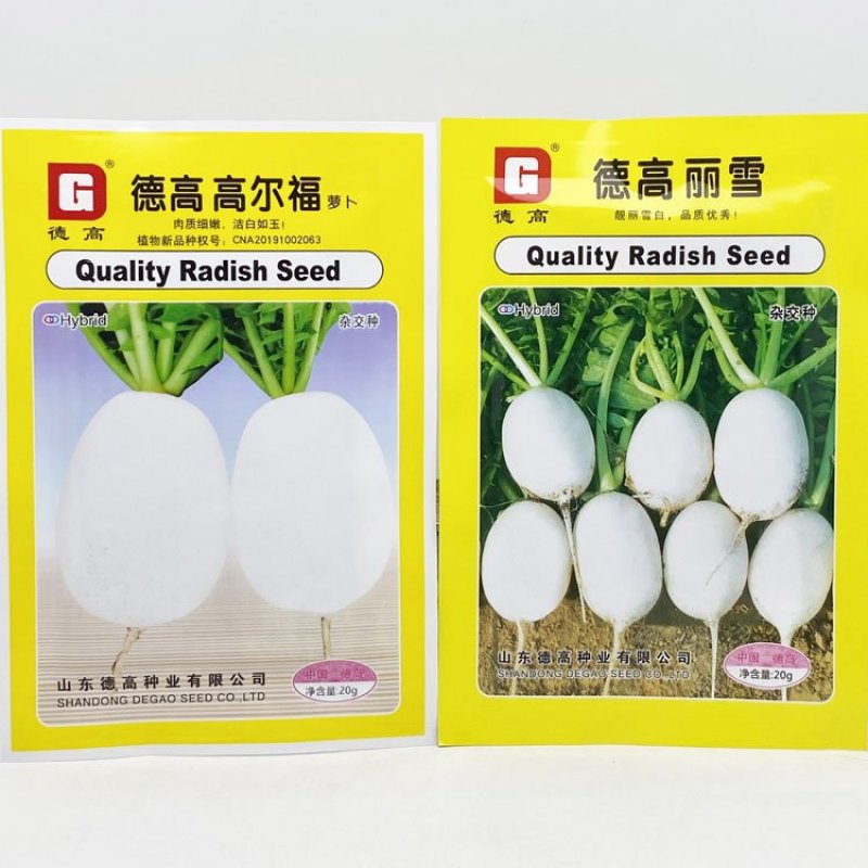 德高高尔福白萝卜种子早熟白皮白肉薄皮近球形萝卜种原装发货
