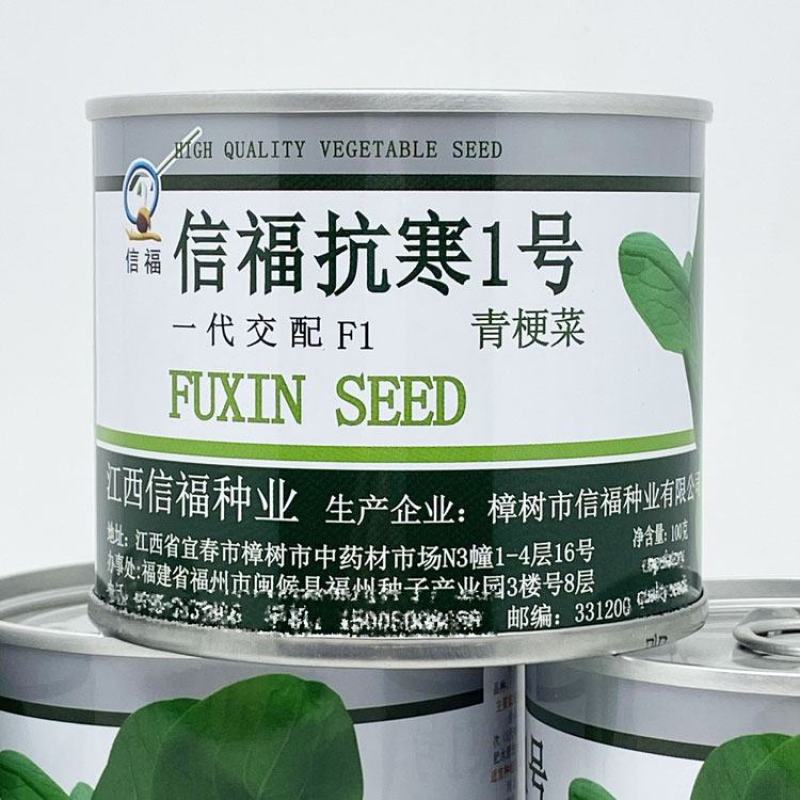 信福抗寒1号青梗菜种子耐寒耐抽苔矮脚种束腰越冬上海青种