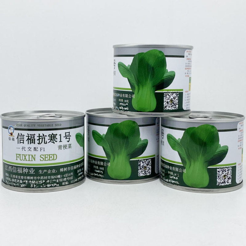 信福抗寒1号青梗菜种子耐寒耐抽苔矮脚种束腰越冬上海青种