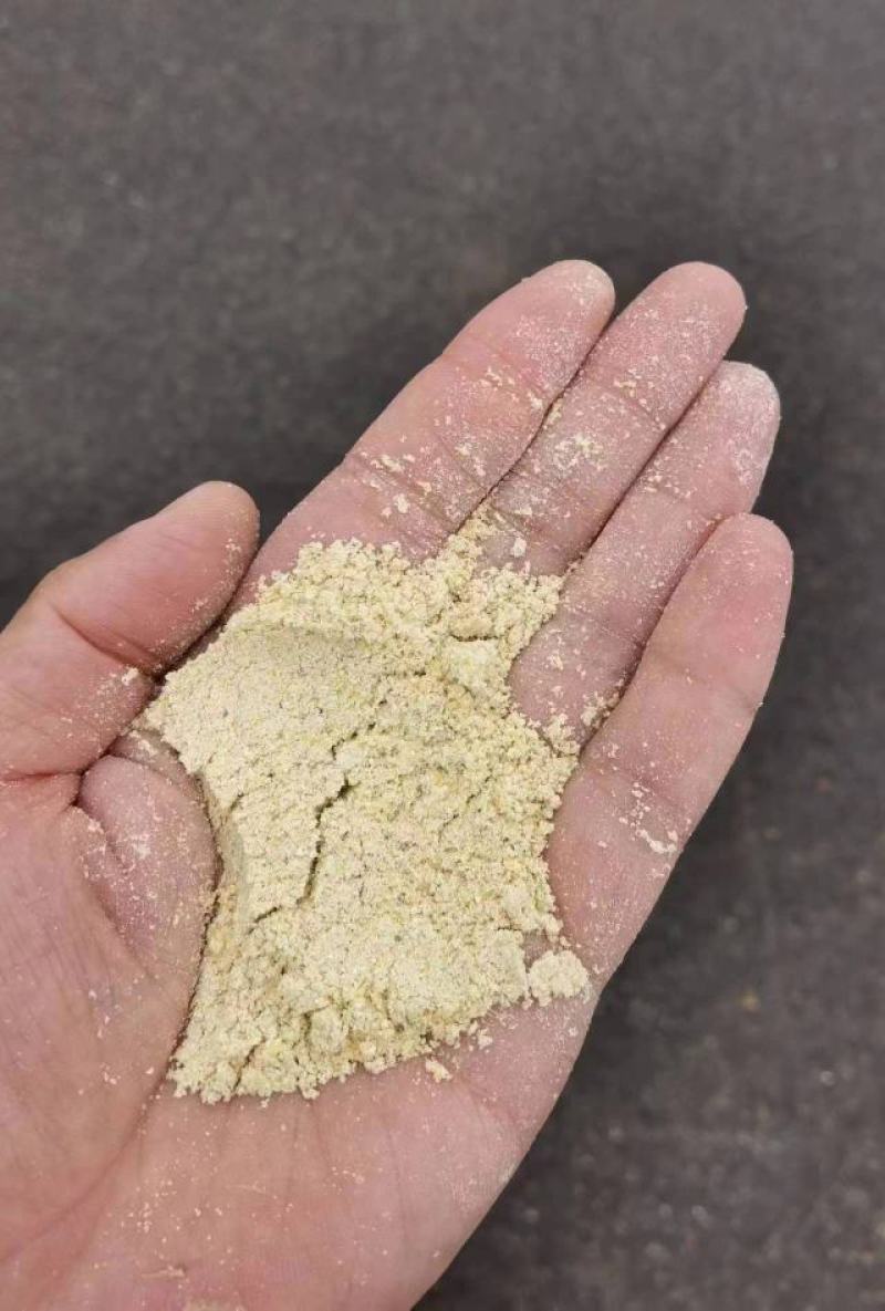 精品玉米面，大量现货。今年新货。全国可发