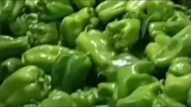原产地直发太空椒各种尖椒及大扁芸豆与五彩椒大量货源上市！