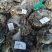 湖北洪湖清水大闸蟹大量供应保质保量新鲜采摘欢迎致电咨询