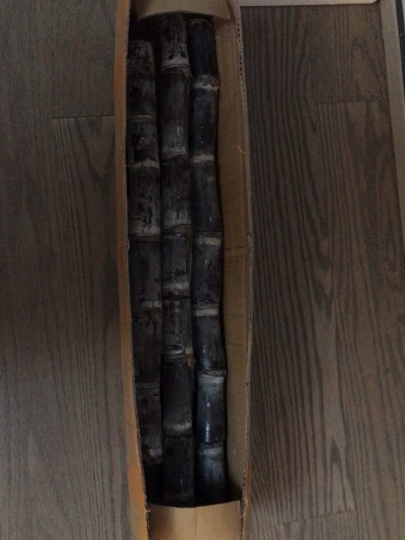 应季现砍现发9斤广西黑皮甘蔗水果新鲜当季甜杆脆孕妇青紫