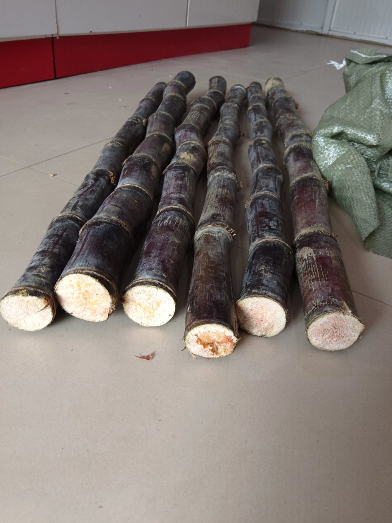 应季现砍现发9斤广西黑皮甘蔗水果新鲜当季甜杆脆孕妇青紫