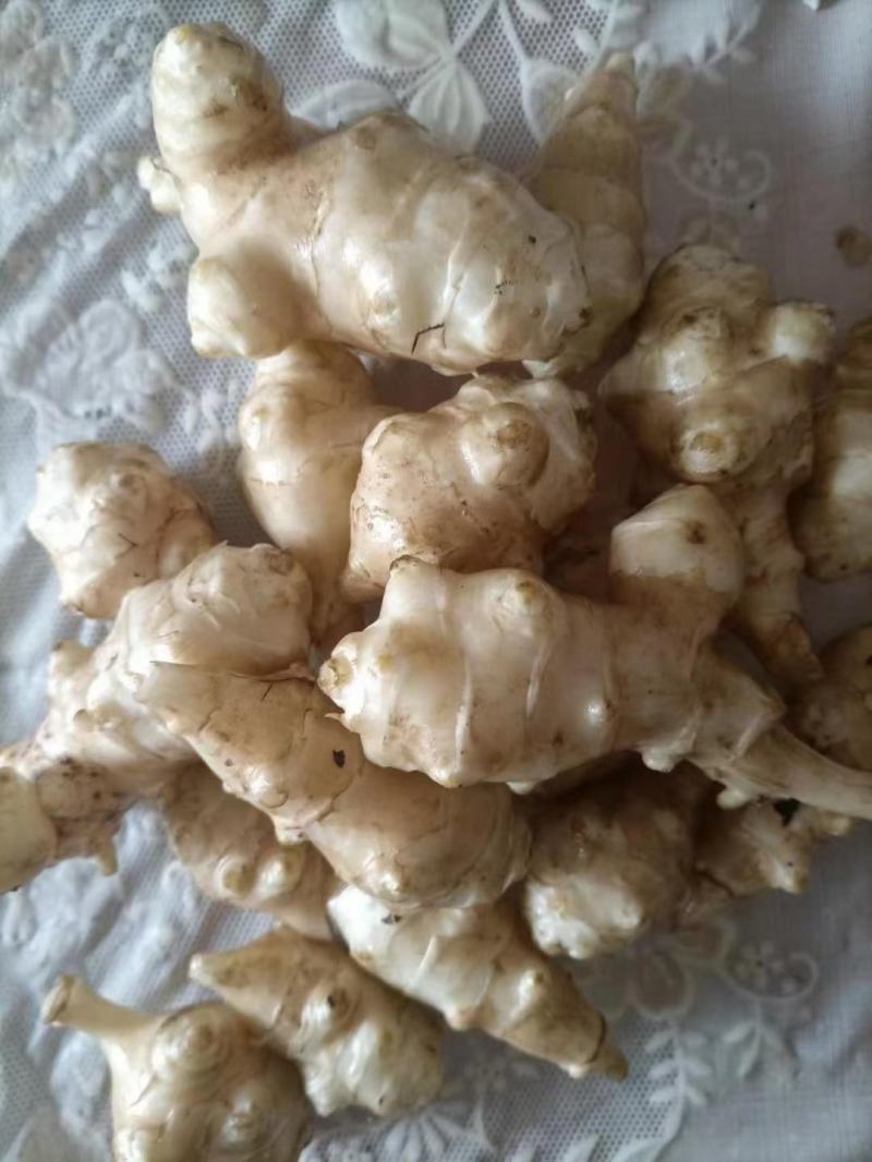洋姜洋芋头菊芋胰岛果产地直销