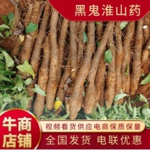 广西淮山药白鬼黑鬼，每天可供应20000斤左右精品电商货