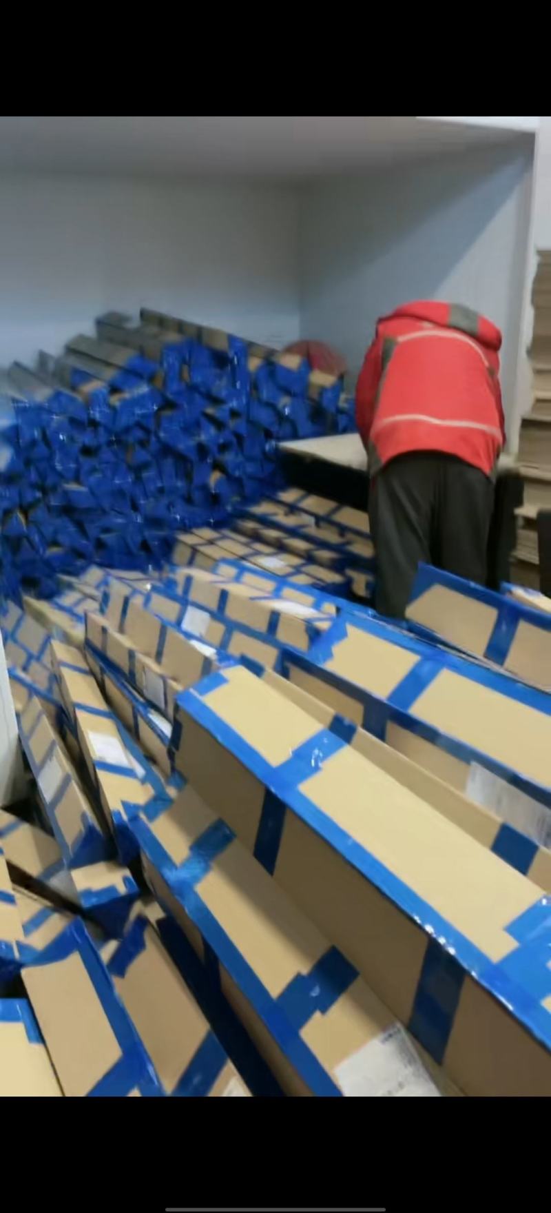 干枝雪柳一件代发量大质优规格齐全产地直发