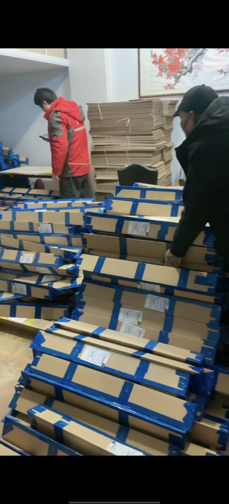干枝雪柳一件代发量大质优规格齐全产地直发