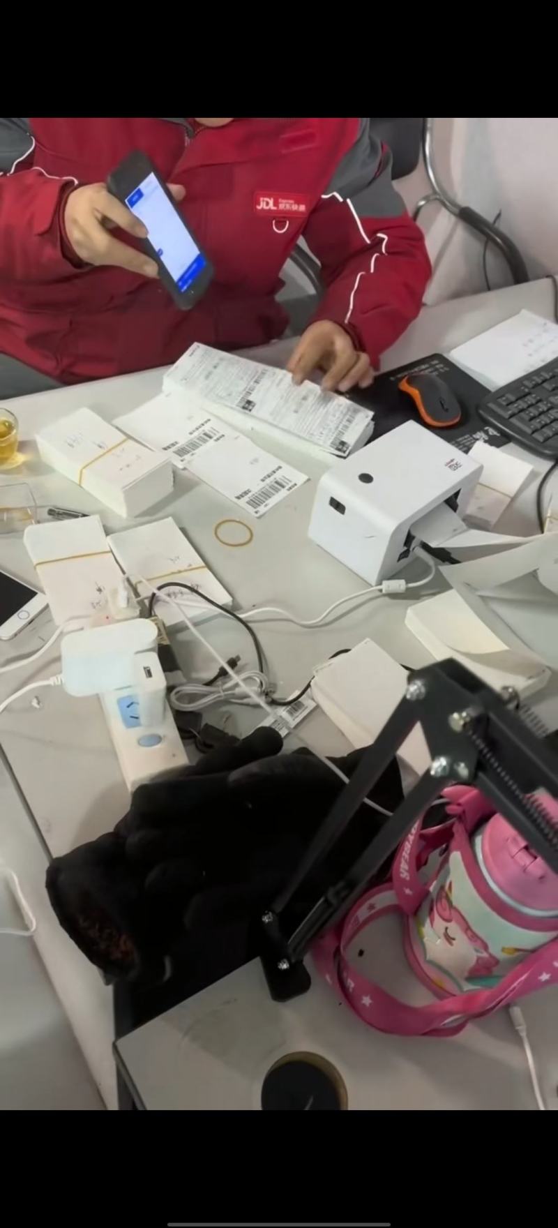 干枝雪柳一件代发量大质优规格齐全产地直发
