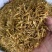 素馨花正品新鲜颜色靓保证质量【包邮】