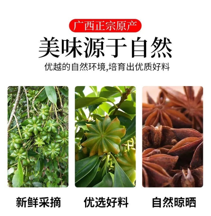 广西玉林大红八角
