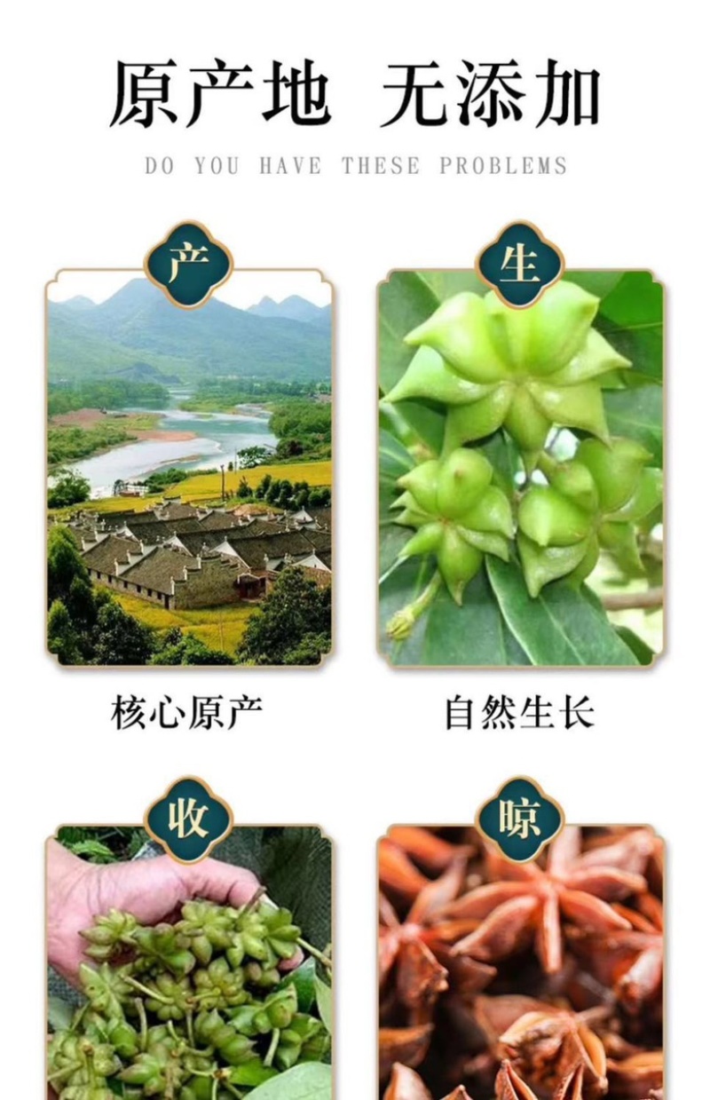 广西玉林大红八角