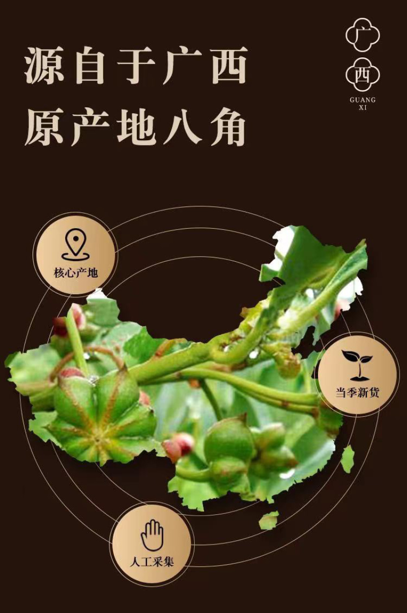 广西玉林大红八角