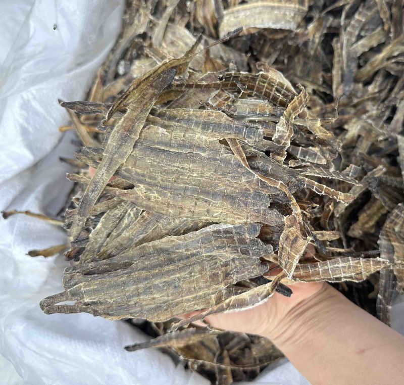 地龙产地河南全开货振兴药材批发量大从优