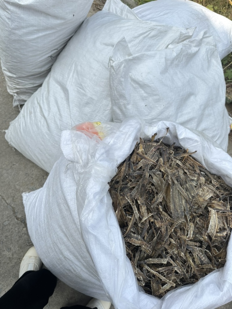 地龙产地河南全开货振兴药材批发量大从优