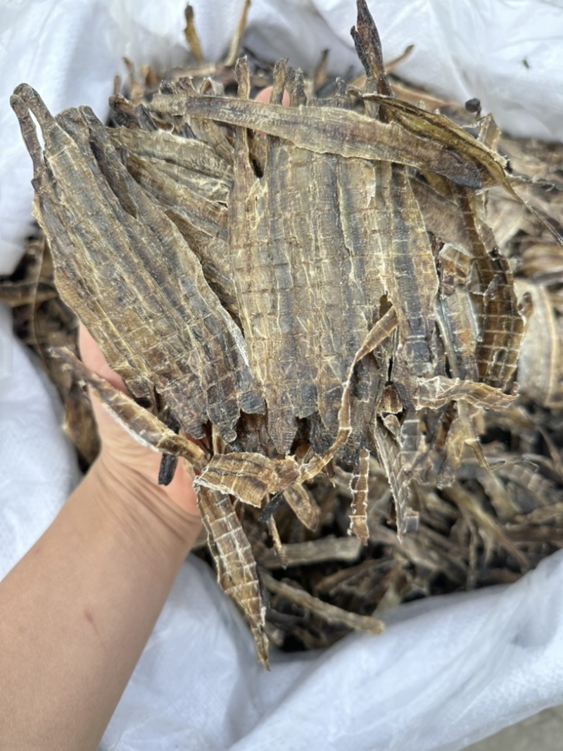 地龙产地河南全开货振兴药材批发量大从优