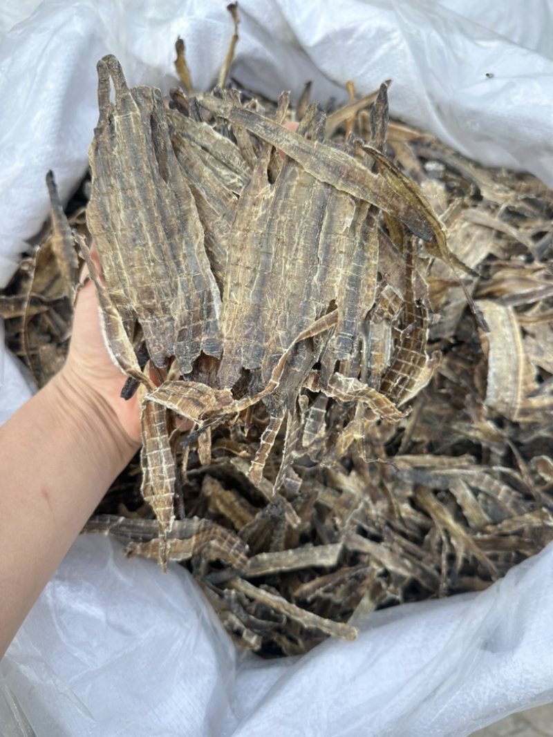 地龙产地河南全开货振兴药材批发量大从优