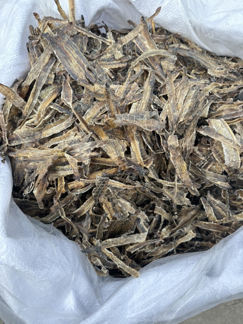 地龙产地河南全开货振兴药材批发量大从优