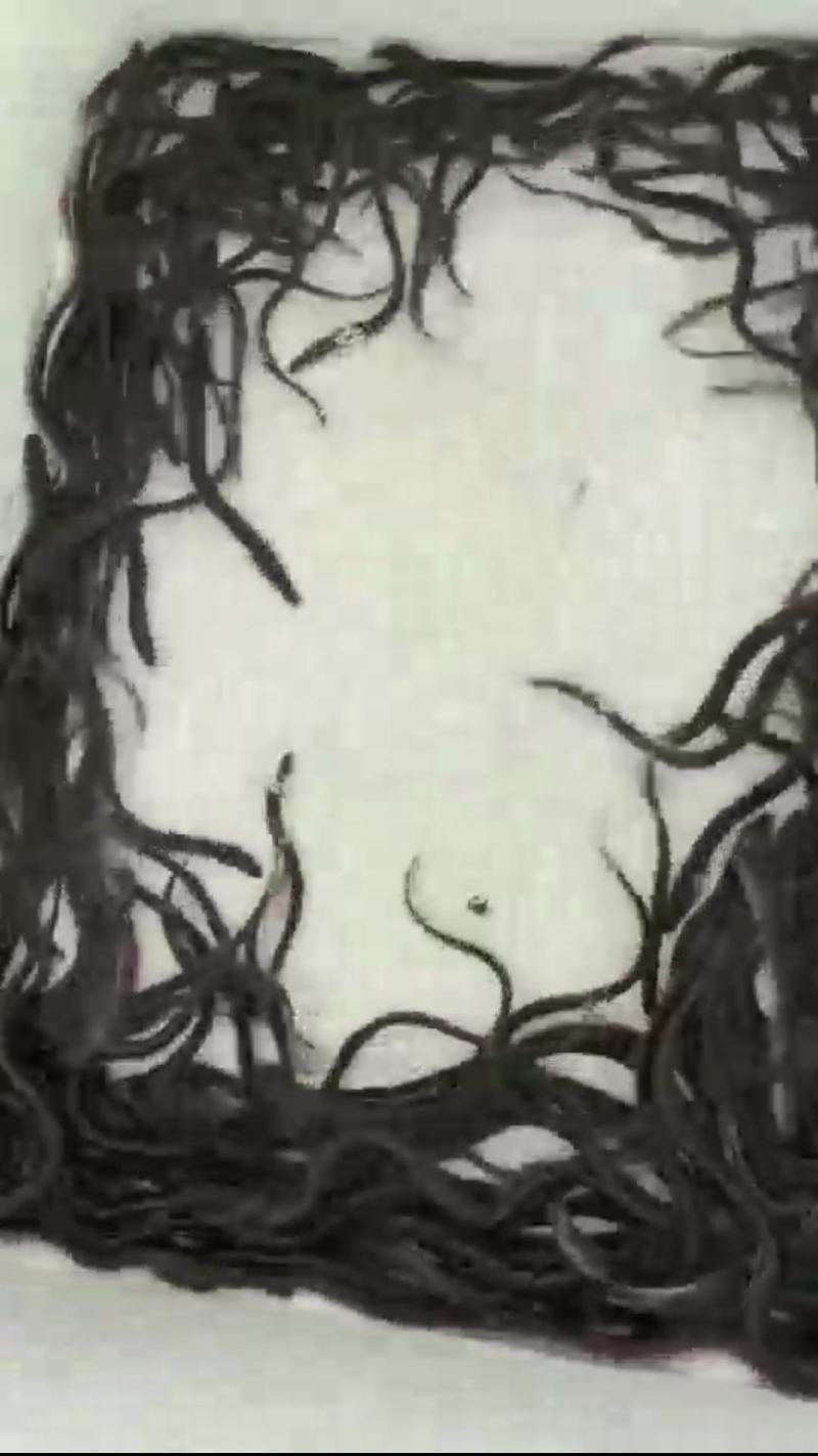优质淡水鳗鱼苗，花鳗鱼苗，适合所有鱼塘养殖。