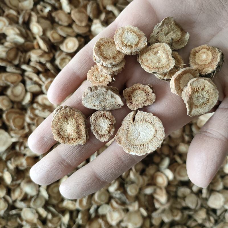 防风祥泰药材栈中药材批发零售实物拍摄量多从优欢迎购买