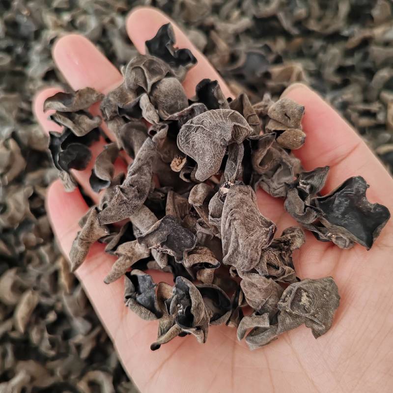 .批发东北秋木耳500克木耳秋耳黑木耳食用菌干货云耳