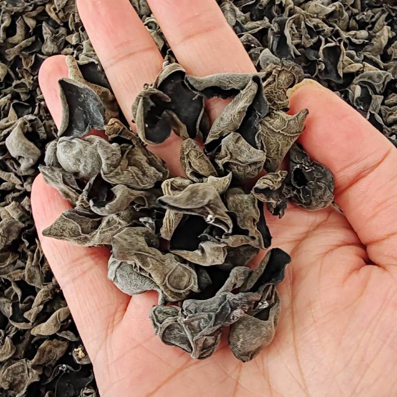 .批发东北秋木耳500克木耳秋耳黑木耳食用菌干货云耳