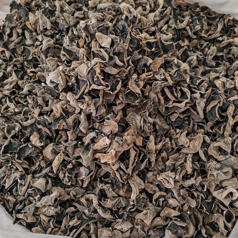 .批发东北秋木耳500克木耳秋耳黑木耳食用菌干货云耳