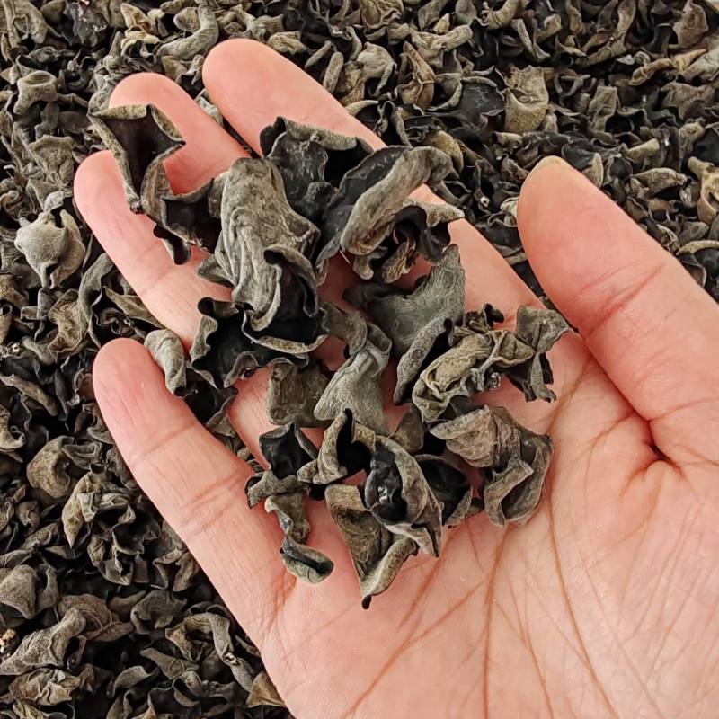 .批发东北秋木耳500克木耳秋耳黑木耳食用菌干货云耳