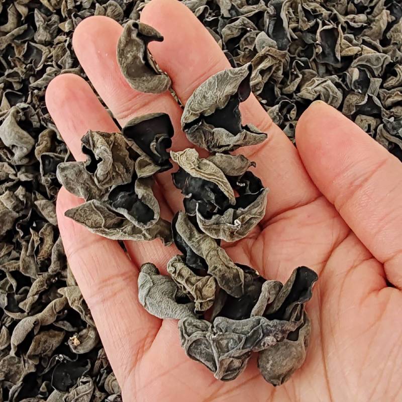.批发东北秋木耳500克木耳秋耳黑木耳食用菌干货云耳