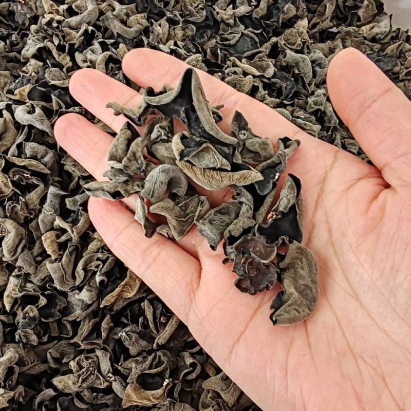 .批发东北秋木耳500克木耳秋耳黑木耳食用菌干货云耳