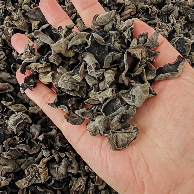 .批发东北秋木耳500克木耳秋耳黑木耳食用菌干货云耳