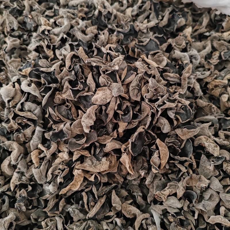 .批发东北秋木耳500克木耳秋耳黑木耳食用菌干货云耳