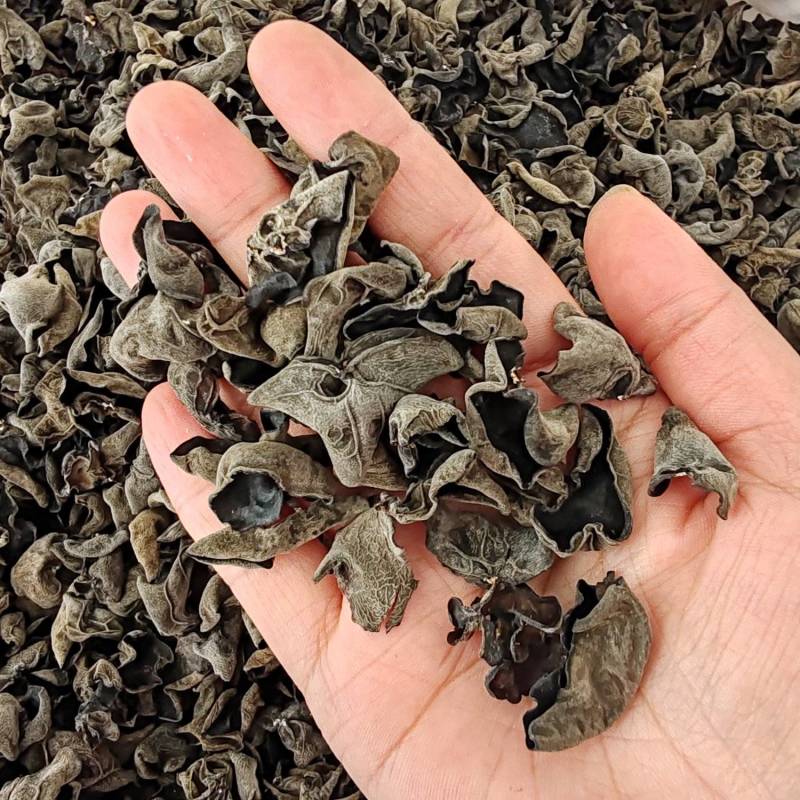.批发东北秋木耳500克木耳秋耳黑木耳食用菌干货云耳
