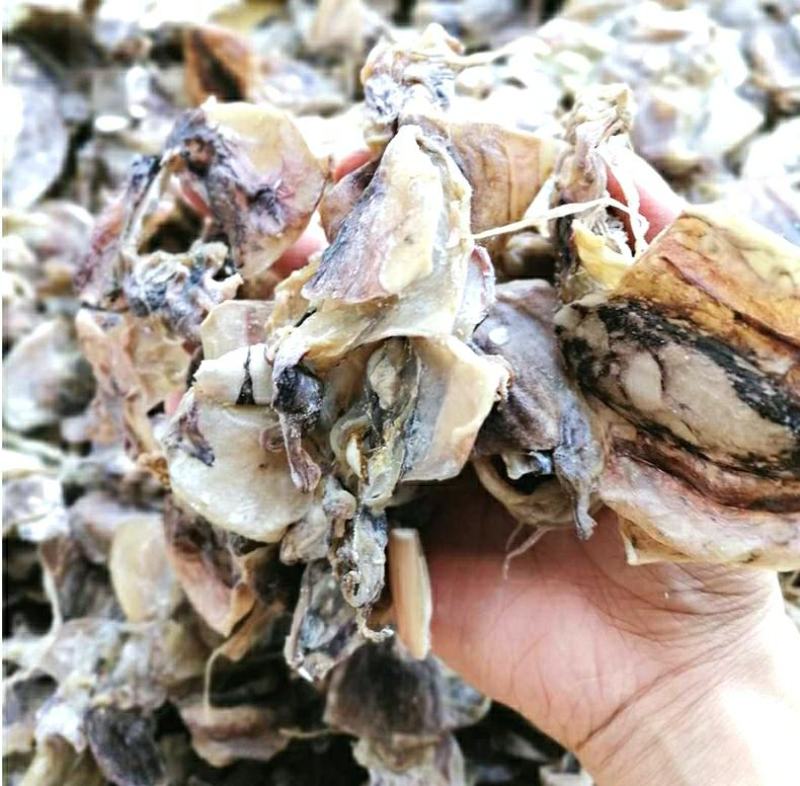 墨鱼头干海鲜干货炖汤炖肉原汁原味保质保量包邮