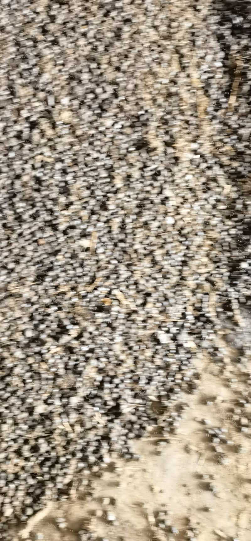 羊粪，纯羊粪大量有货产地直发可视频看货欢迎选购