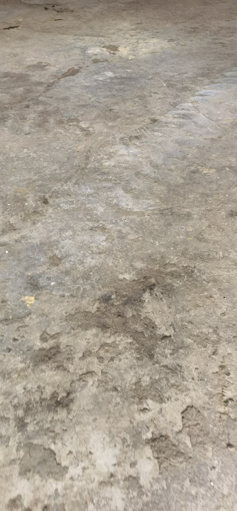 羊粪，纯羊粪大量有货产地直发可视频看货欢迎选购