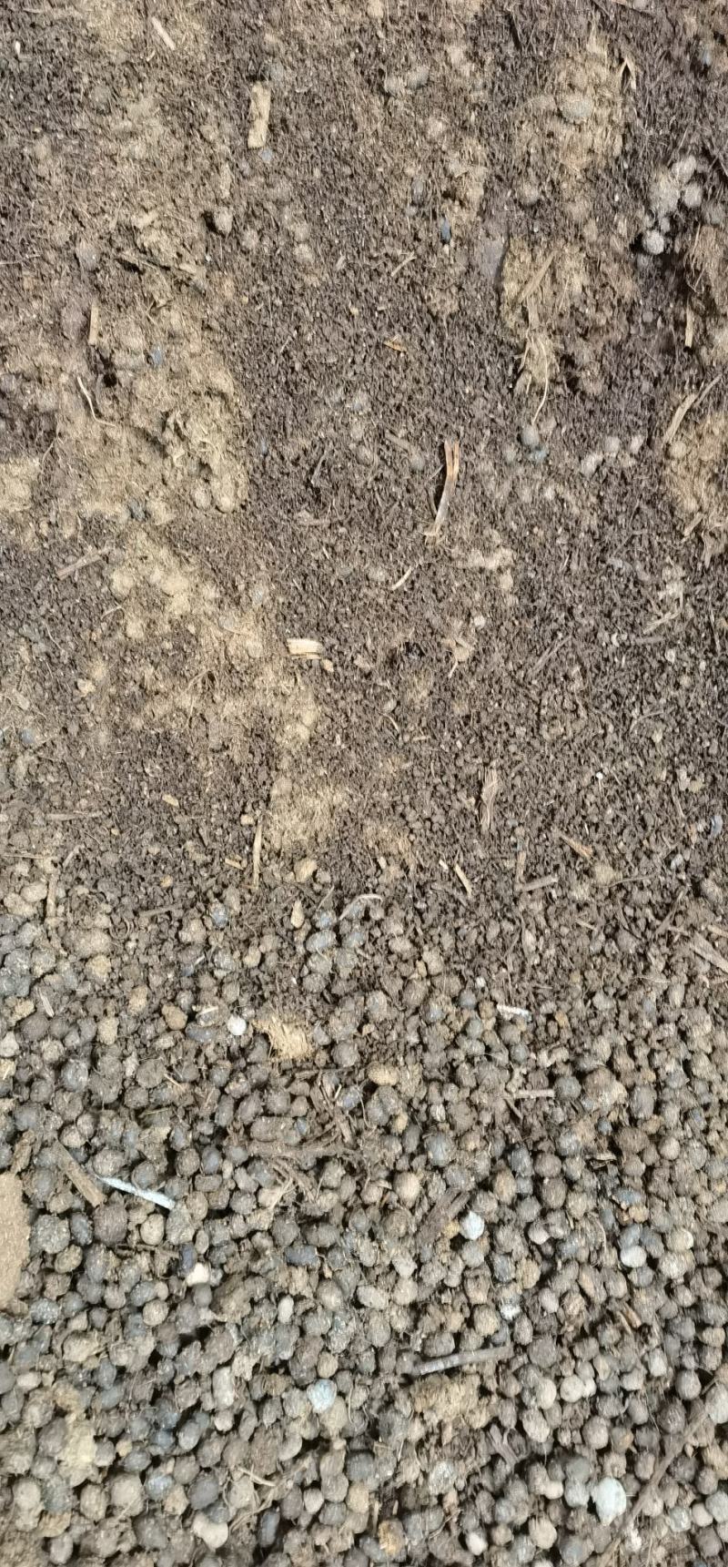 羊粪，纯羊粪大量有货产地直发可视频看货欢迎选购