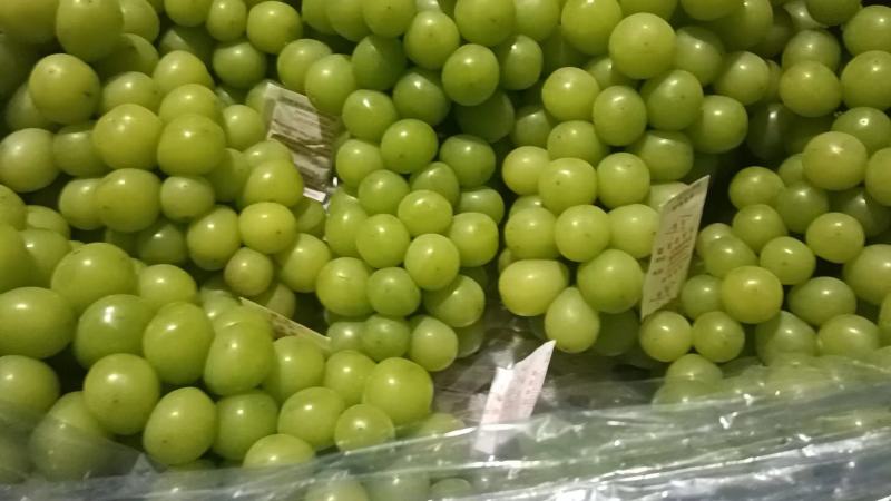 北镇精品新鲜阳光玫瑰产地一手货源量大从优非诚勿扰