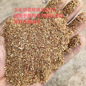 大量供应喷浆玉米纤维蛋白20能替代部分豆粕