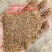 大量供应喷浆玉米纤维蛋白20能替代部分豆粕