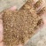 大量供应喷浆玉米纤维蛋白20能替代部分豆粕