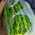 【精品】陇椒大量上市，物美价廉，质量有保障，欢迎前来洽谈