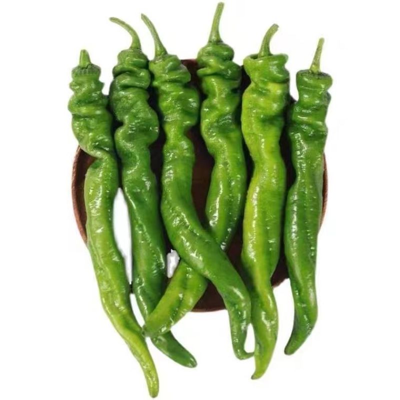 【精品】陇椒大量上市，物美价廉，质量有保障，欢迎前来洽谈
