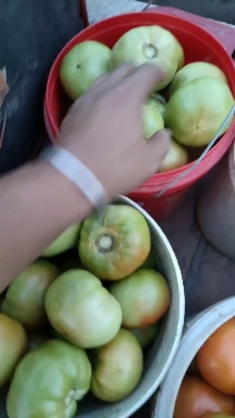 番茄