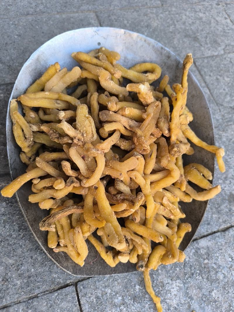 湘玉竹玉竹条玉竹个子干货无硫规格齐全量大从优