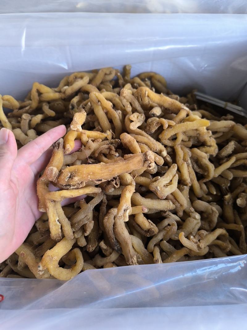 湘玉竹玉竹条玉竹个子干货无硫规格齐全量大从优