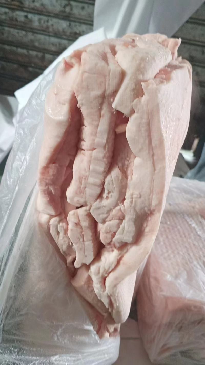 脊膘肥膘同出