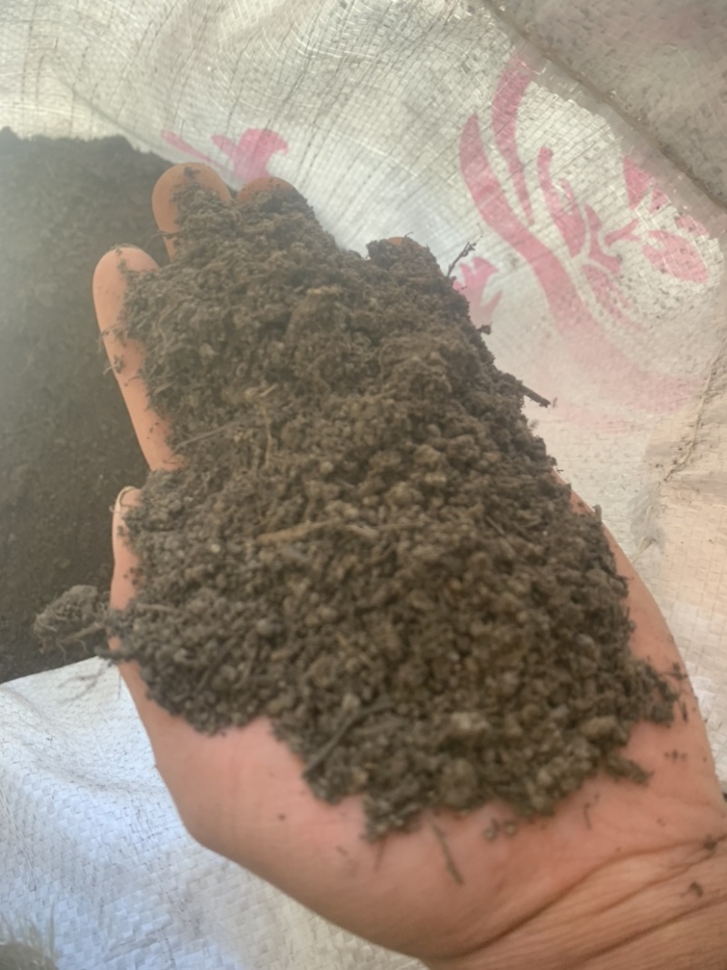 腐植土高温消毒腐熟发孝用于绿化苗木具有营养成分合适移种