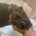 腐植土高温消毒腐熟发孝用于绿化苗木具有营养成分合适移种