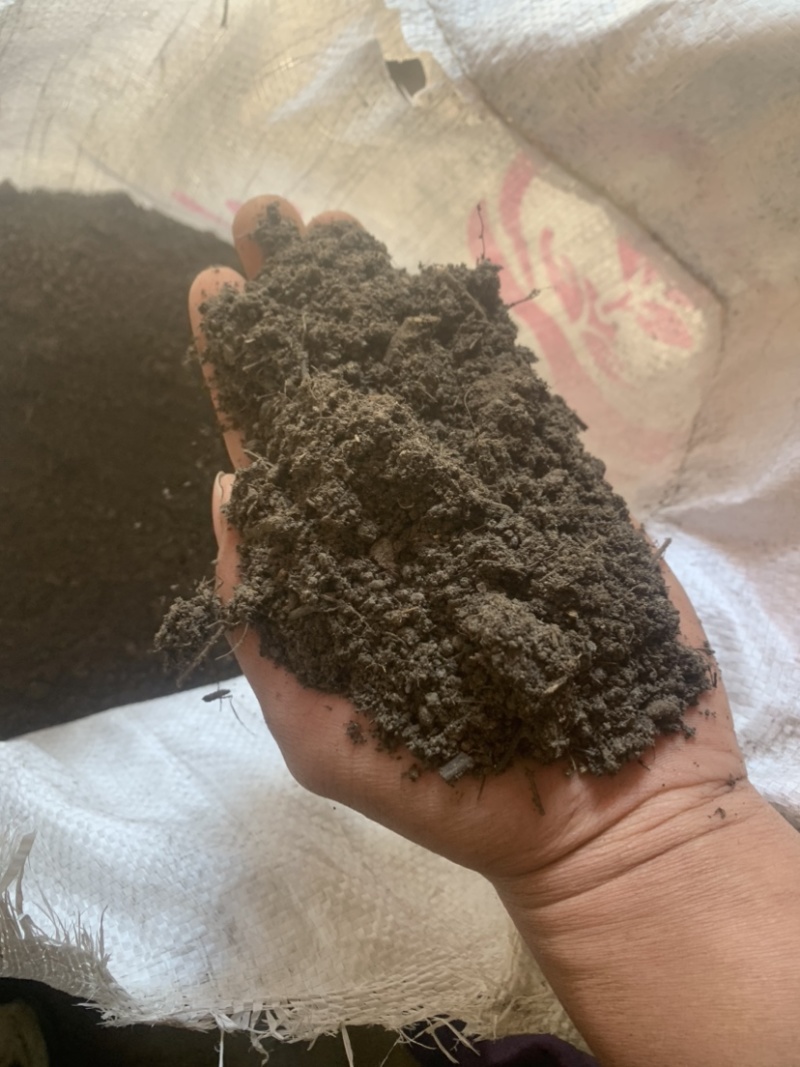 腐植土高温消毒腐熟发孝用于绿化苗木具有营养成分合适移种